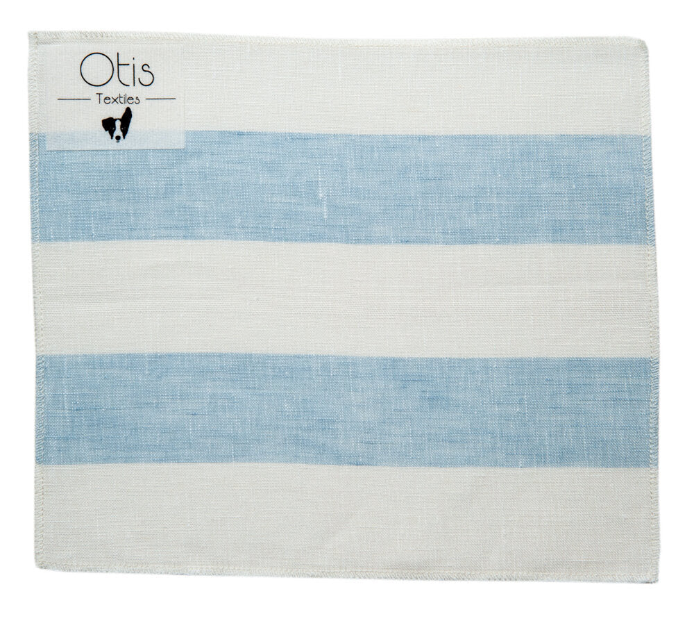 Stripped Stripe Maya Blue